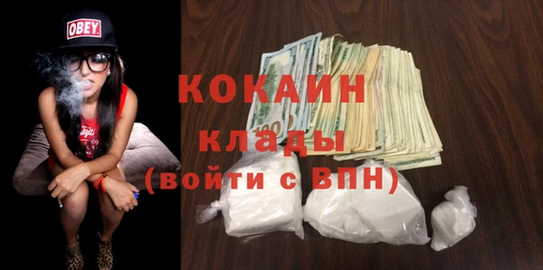 стафф Арсеньев