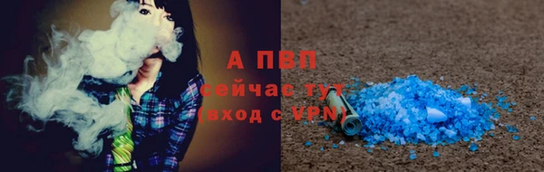 стафф Арсеньев