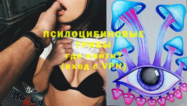 метадон Армянск