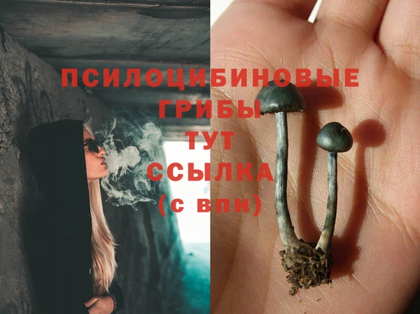 стафф Арсеньев