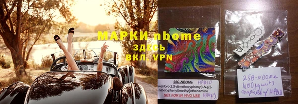 стафф Арсеньев