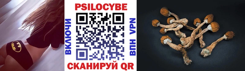 Псилоцибиновые грибы мухоморы Ряжск